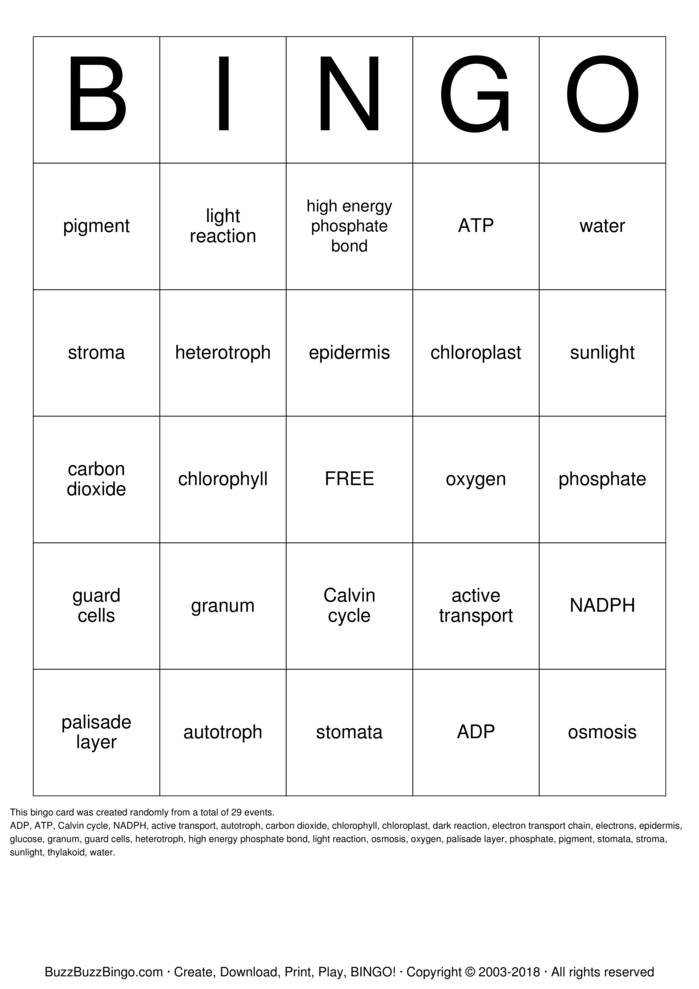 Photosynthesis Bingo Cards to Download, Print and Customize!