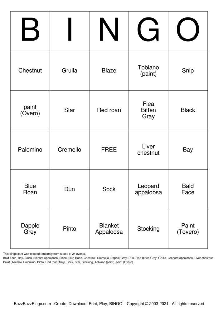 HORSE Colors Bingo Cards to Download, Print and Customize!