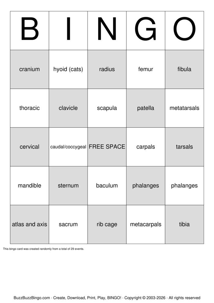 Download Free Musculoskeletal Bingo Cards