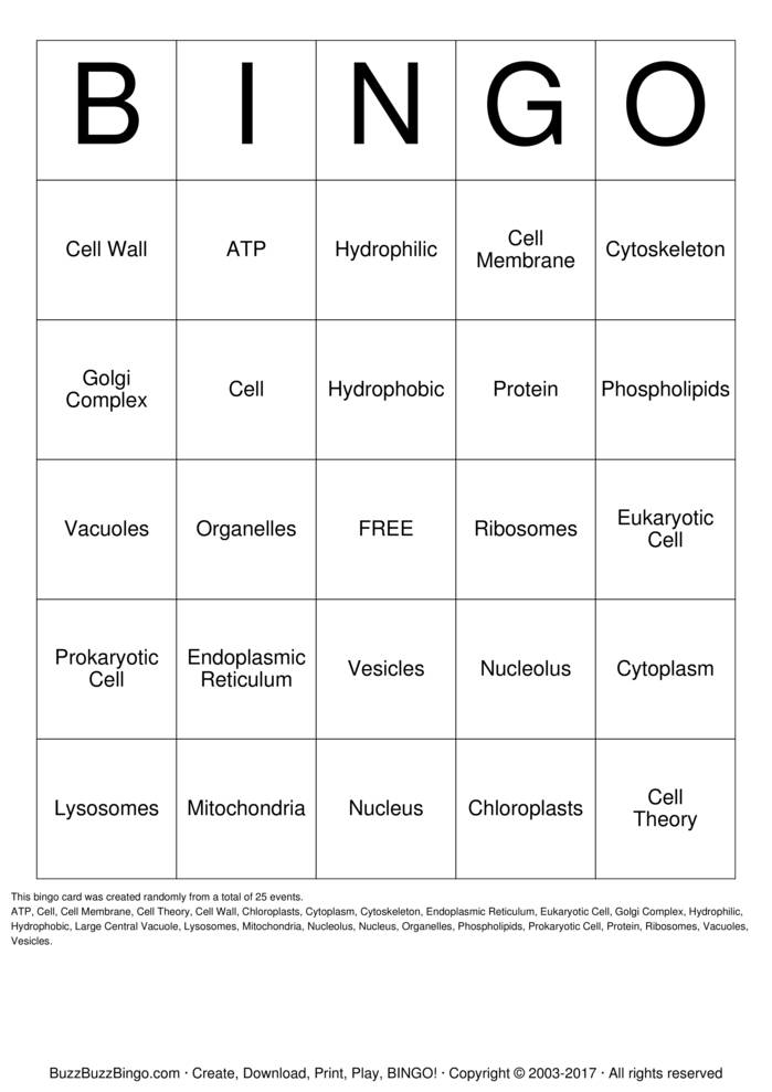 Custom Bingo Cards to Download, Print and Customize!