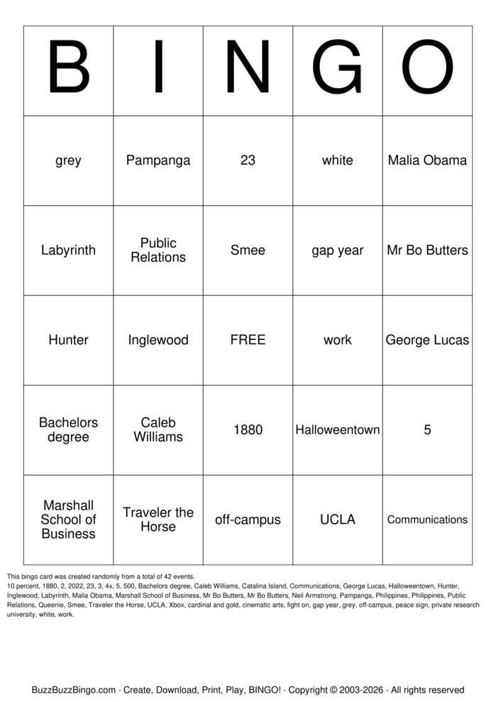 Download Free Paula  Bingo Cards