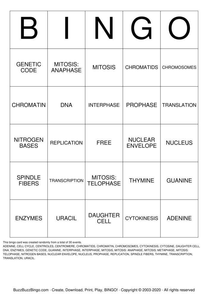 Download Free mitosis Bingo Cards Download Free mitosis Bingo Cards