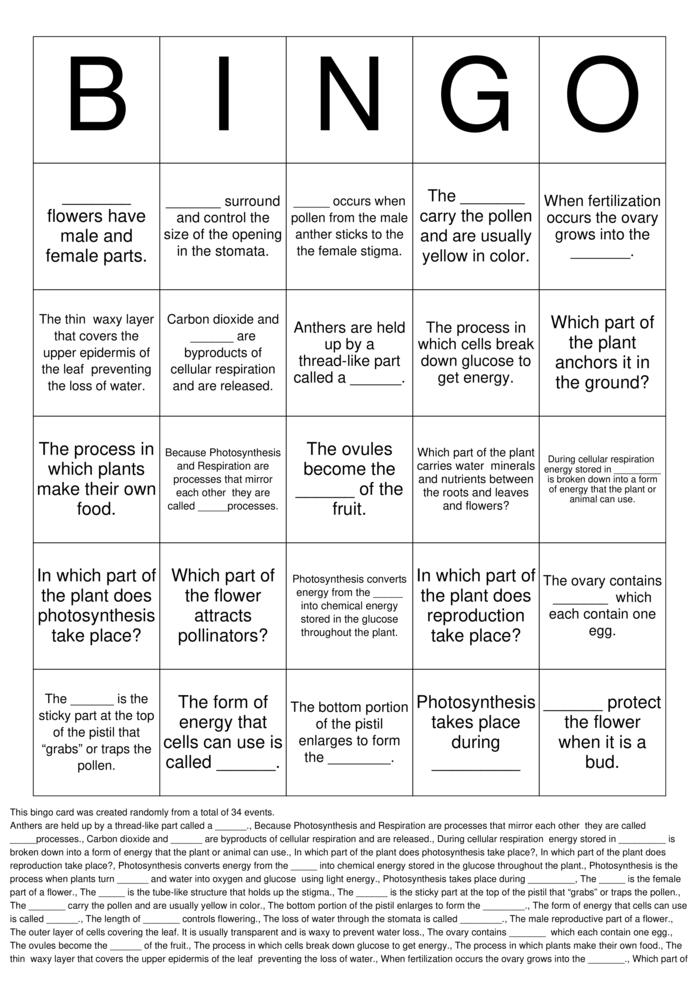 Download Free Living Organisms Review BINGO Bingo Cards Download Free Living Organisms Review BINGO Bingo Cards