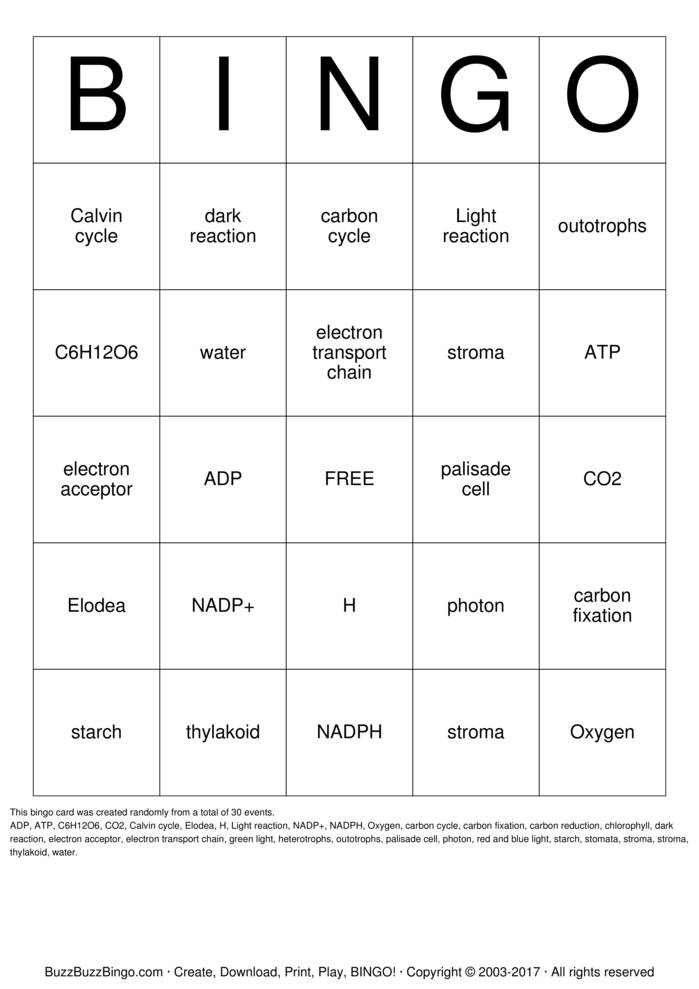 Photosynthesis Bingo Cards to Download, Print and Customize!