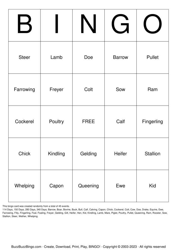Download Free Animal Terminology Bingo Cards