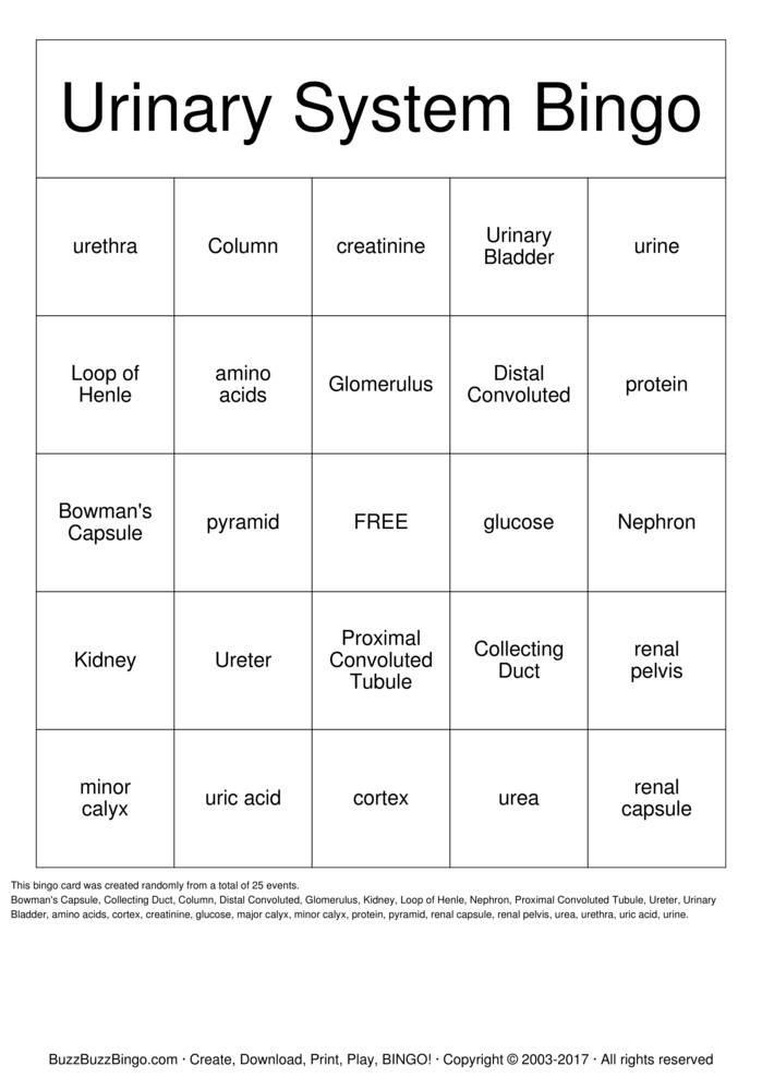 Download Free Urinary System Bingp Bingo Cards