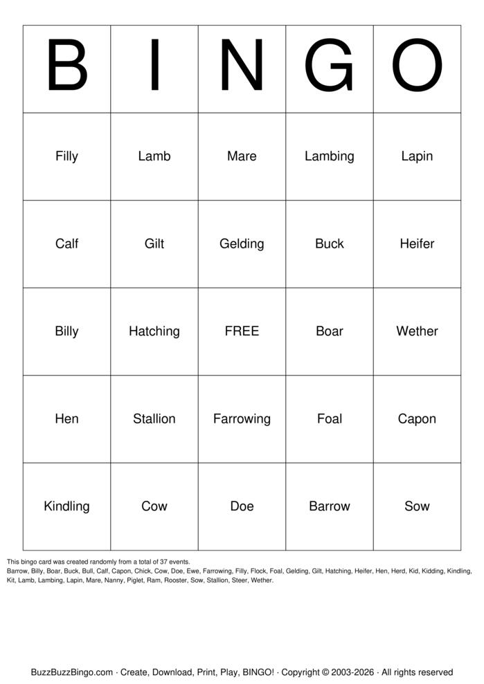 Download Free Animal Terminology Bingo Cards Download Free Animal Terminology Bingo Cards